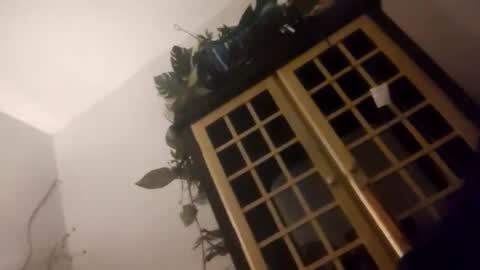 trans167456 online show from 12.19.25