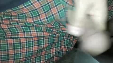 Snapshot of travelingmantla chatting on 01.14.25 Daddy Edgalot online show from 01.14.25