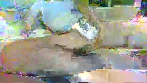 tree33007 online show from 11.03.25