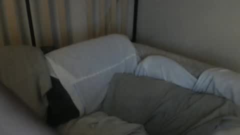 TreeHugger queer online show from 10.12.25