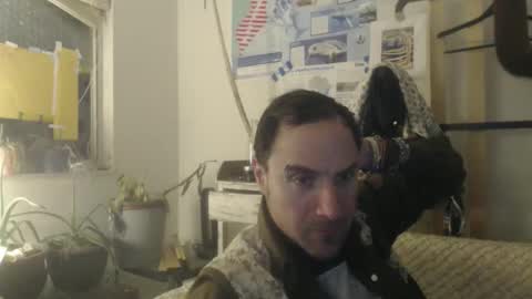 TreeHugger queer online show from 12.02.25