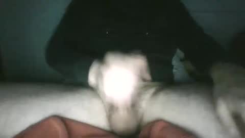 trekkertje666 online show from 01.25.25