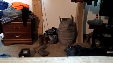 trickywalker8 online show from 11.21.25