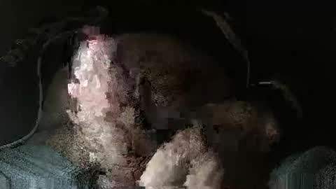 triponsex online show from 03.24.26