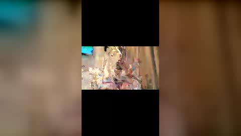 Trishia00 online show from 12.04.25