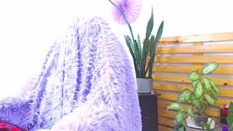 Trix online show from 02.01.26