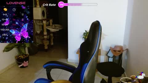 Kitty online show from 03.04.26