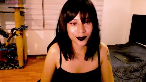 Cait online show from 11.29.25