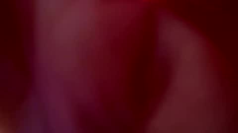 Snapshot of tu_julieta_gh chatting on 10.20.25 JULIETA online show from 10.20.25