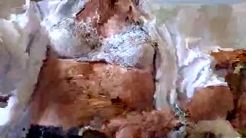 Snapshot of tubaist chatting on 09.09.25 FINN but call me NANNA online show from 09.09.25