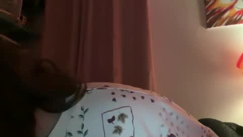 Tulip online show from 02.02.26