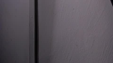 Turner online show from 04.15.26