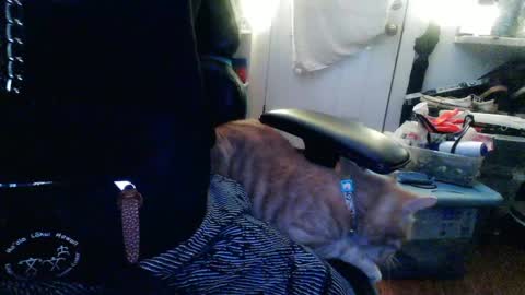 Snapshot of twackedntatted chatting on 12.12.24 TwackedNTatted online show from 12.12.24