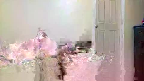 twinflamecaps online show from 04.09.26