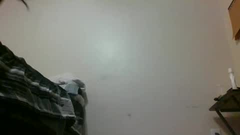 txbigd131369 online show from 01.29.25