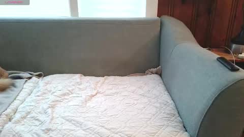 Tyler Sands online show from 12.16.25