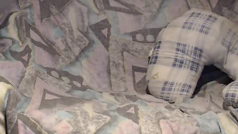 Helena and Tyson online show from 02.02.25