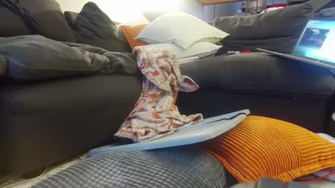 Snapshot of tysonjameson chatting on 12.20.24 tysonjameson online show from 12.20.24