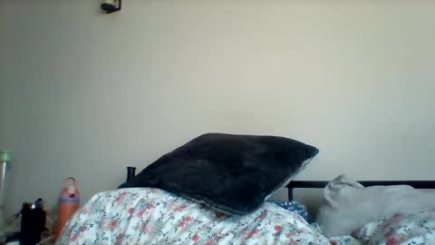 Snapshot of uncircumcise30 chatting on 03.19.26 uncircumcise30 online show from 03.19.26