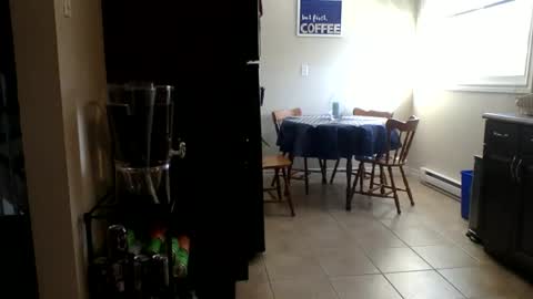 Buzz Bigcock online show from 02.23.26