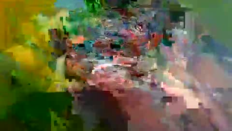 ur_zaddy4now online show from 01.24.25