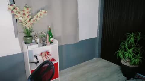 Snapshot of urfave_bbgirl chatting on 12.23.25 urfave_bbgirl online show from 12.23.25