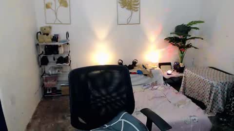 Bib online show from 11.01.25