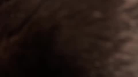 urmissalice online show from 02.22.26