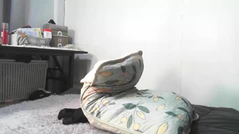 Rbabes online show from 02.03.26