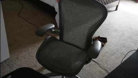 v_for_veng online show from 02.23.26