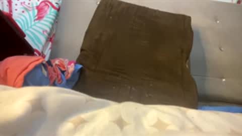 valencutt online show from 02.26.26