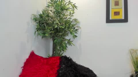 valeri_tafur online show from 11.12.25