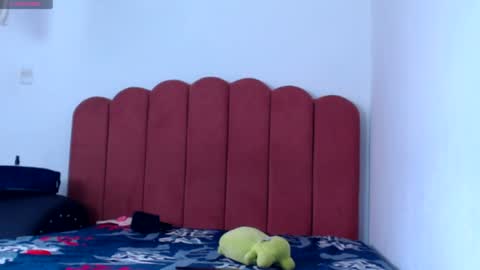 Snapshot of valerybaker1 chatting on 01.02.25 B V Naughty online show from 01.02.25
