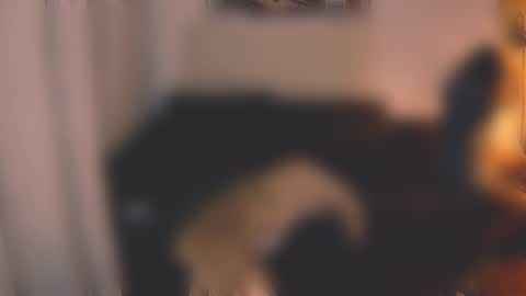 Little Devil online show from 12.07.24