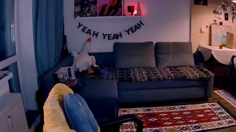 Little Devil online show from 01.17.26