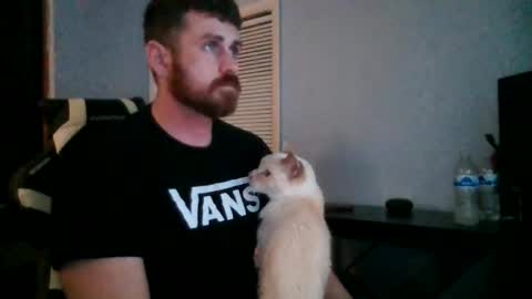 Vandal2021 online show from 11.20.25