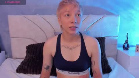 vane_grey online show from 07.02.26
