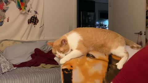 Vanessa  online show from 12.15.25