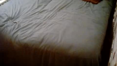 Usagi online show from 10.25.25