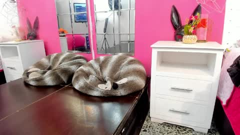 Vannellope online show from 04.08.26