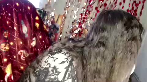 Var Kiss online show from 04.04.26