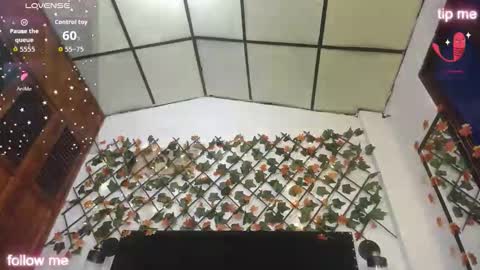 Aurora Cooper online show from 11.27.25