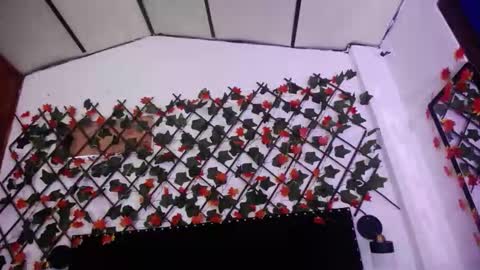 Aurora Cooper online show from 12.01.25