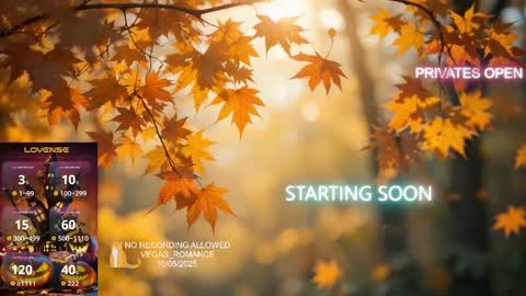 vegas_romance online show from 10.06.25