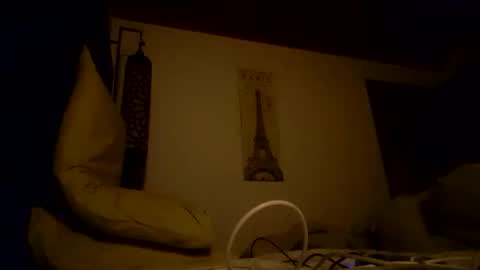 Snapshot of vegboy87 chatting on 11.11.25 vegboy87 online show from 11.11.25