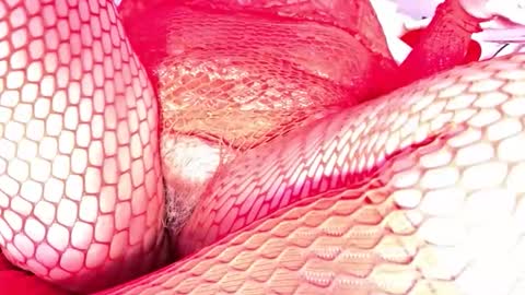 Vehe Veun online show from 12.18.25