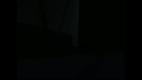 Snapshot of vendi1 chatting on 12.28.24 vendi1 online show from 12.28.24