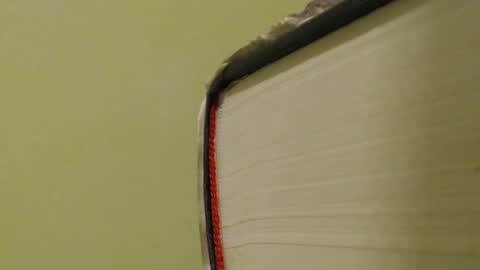 Snapshot of vendi1 chatting on 01.14.25 vendi1 online show from 01.14.25