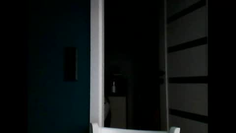 Snapshot of vendi1 chatting on 11.26.25 vendi1 online show from 11.26.25