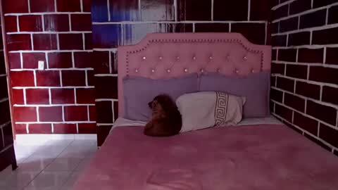 emily independent account  MY conextion 1100 GTM  to  17hr GTM online show from 03.08.25